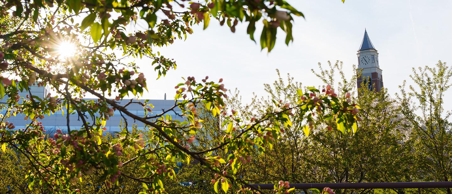 Shot of Elliot Tower behind leaves